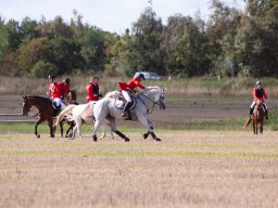 IMG_8529_web